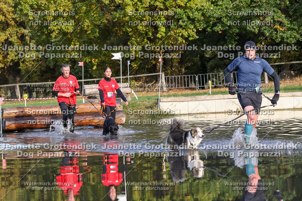 Dog Paparazzi - Strongdog 10-25-8395 | Dog Paparazzi Jeanette Grottendiek Fotografie & Videografie - Realisiert mit Pictrs.com