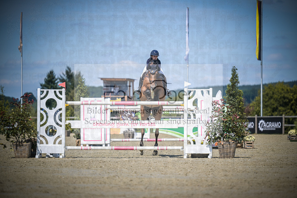 DOS_3662 | Entdecke hochwertige Reitturnierfotos von Foto Oger. Professionell, emotional und authentisch – jetzt Lieblingsmomente im Shop bestellen.Deutschlandweite Turnierfotografie. - Realisiert mit Pictrs.com