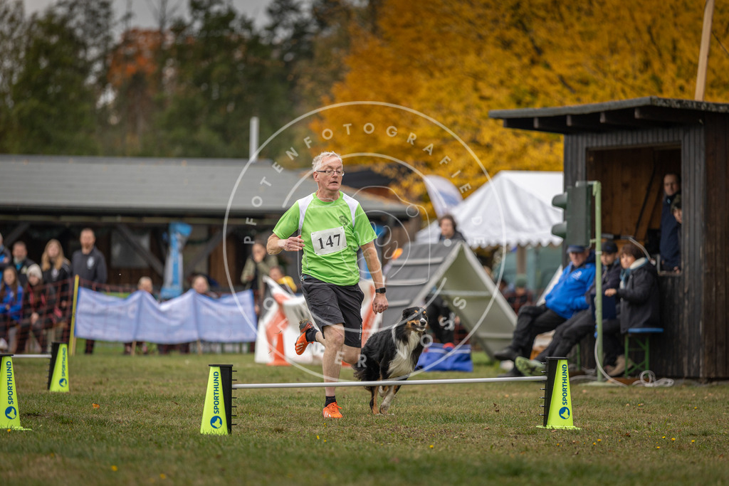 Pfotenfotografie_DV3A6214 | Hundefotografie, Tierfotograf, Pfotenfotografie, Fotoshooting Hund, Hunde Portrait, Hundesport, Hundeportraits, Heideshooting, Hunde, Sportfotograf, Hundefotograf, Turnierhundsport, THS,  - Realisiert mit Pictrs.com