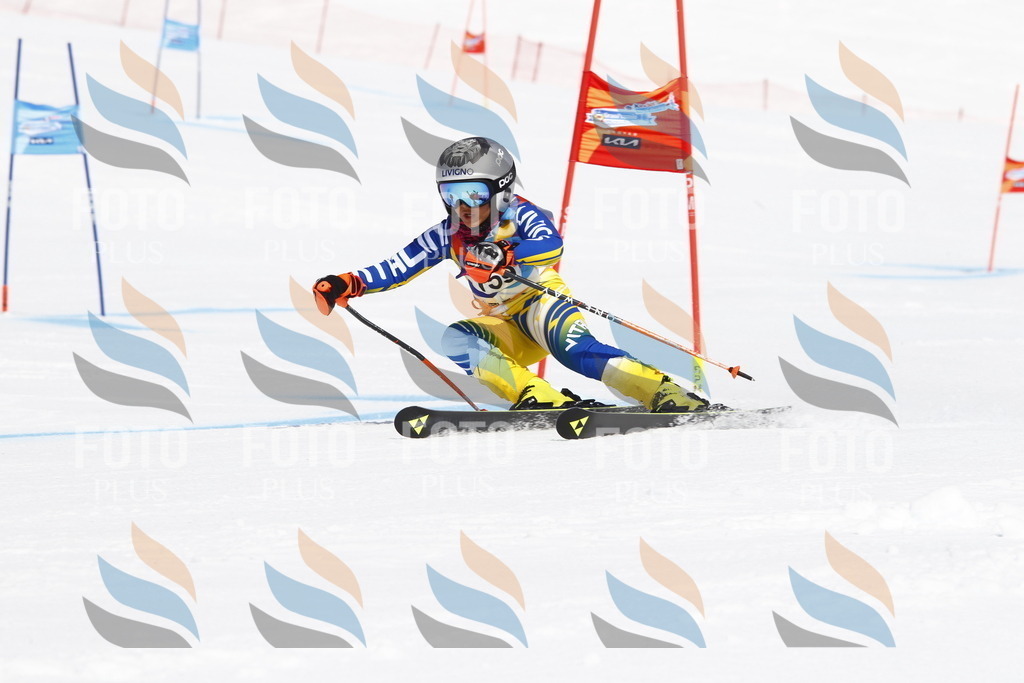 _U3G4303 | holidayphoto