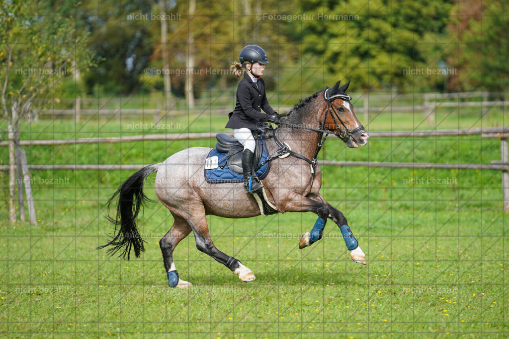 20230917-FAH09193 | Landsberg am Lech, 2023, Kaufbeuren, Kempten, Allgäu, Turnierfotografen Bayern, Fotoagentur Herrmann, Turnierbilder, Reitsport Fotos, Pferdefotograf, Augsburg, Bad Tölz, Dachau, Karlsfeld, Memmingen, Buchloe, Schwabmünchen