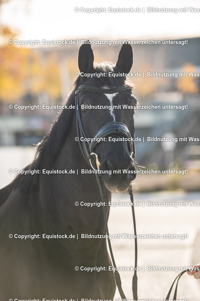 20251113_Lisa-Müller_TOMSPIC_0033 | Foto: Thomas Hartig