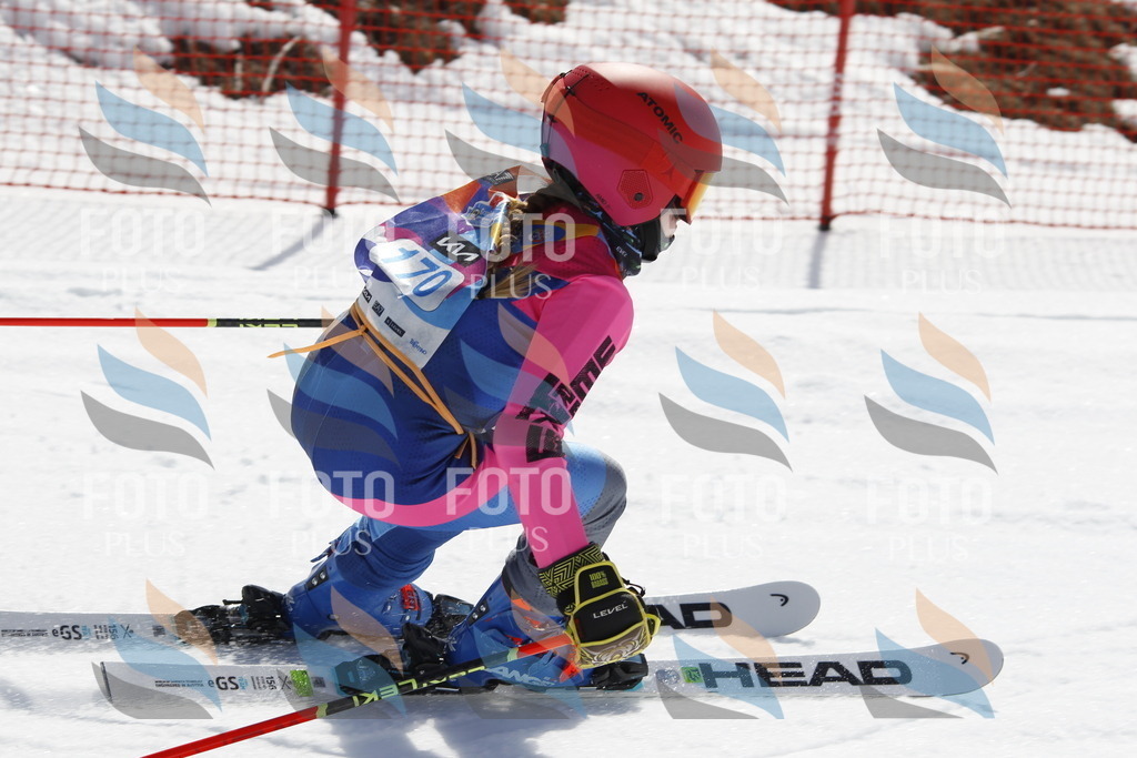 _U3G1556 | holidayphoto