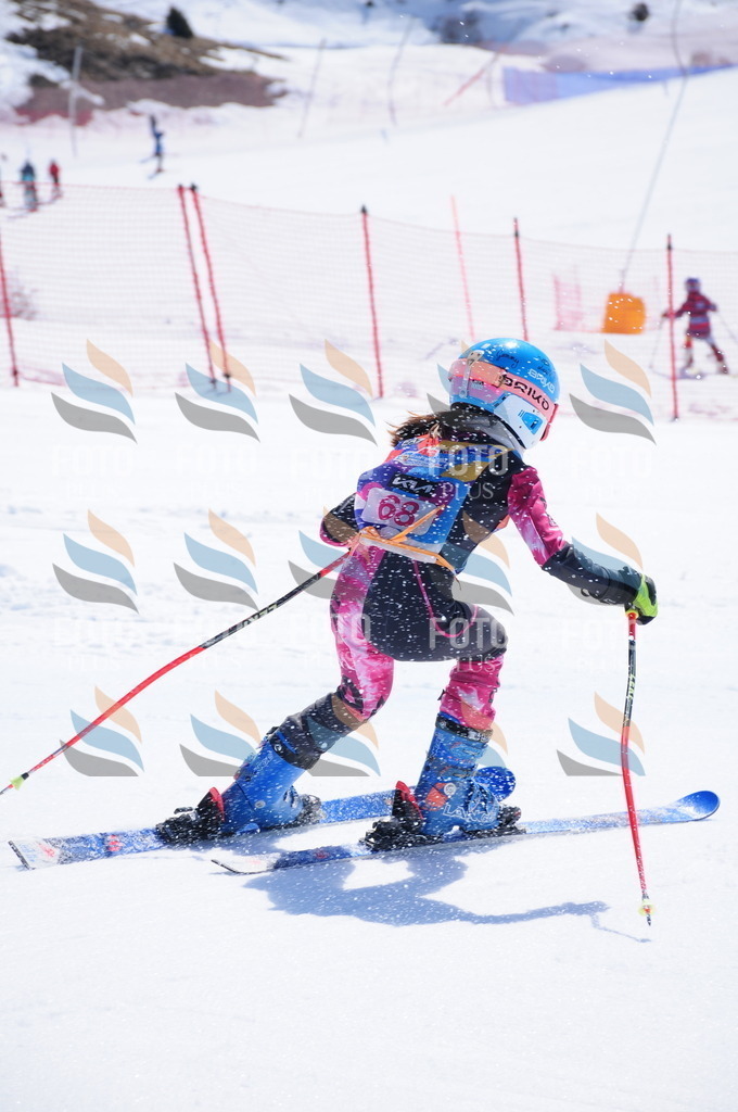 DSC_4397 | holidayphoto