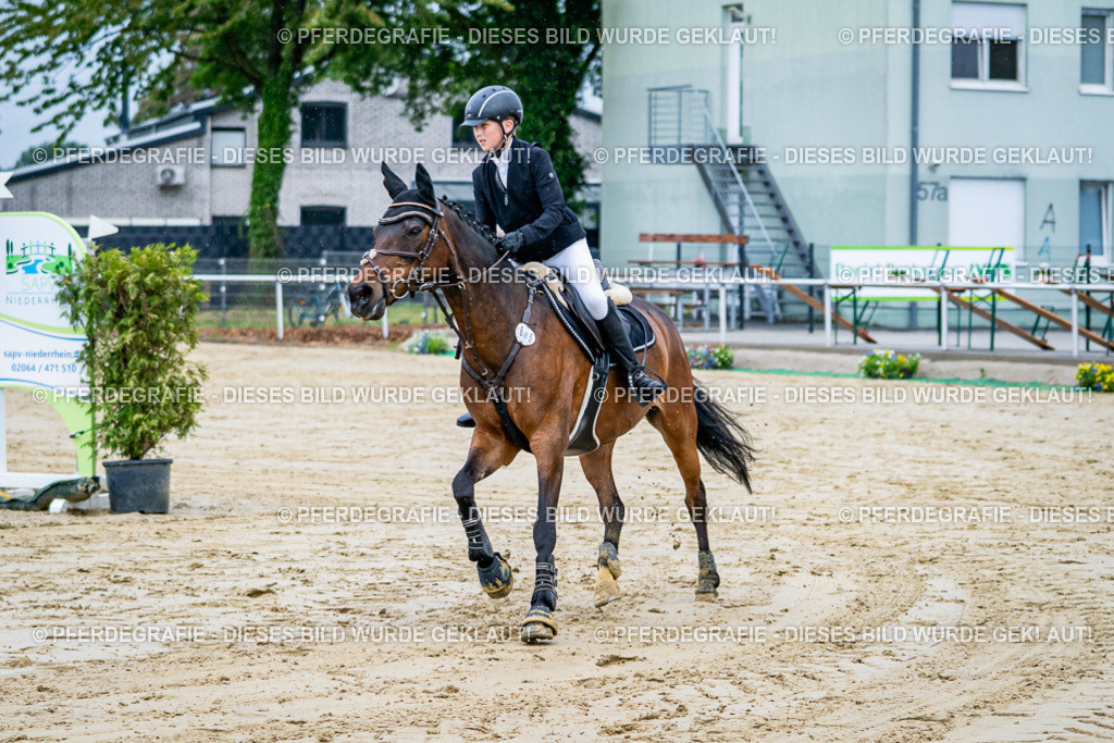 DSC01404 | Pferdegrafie