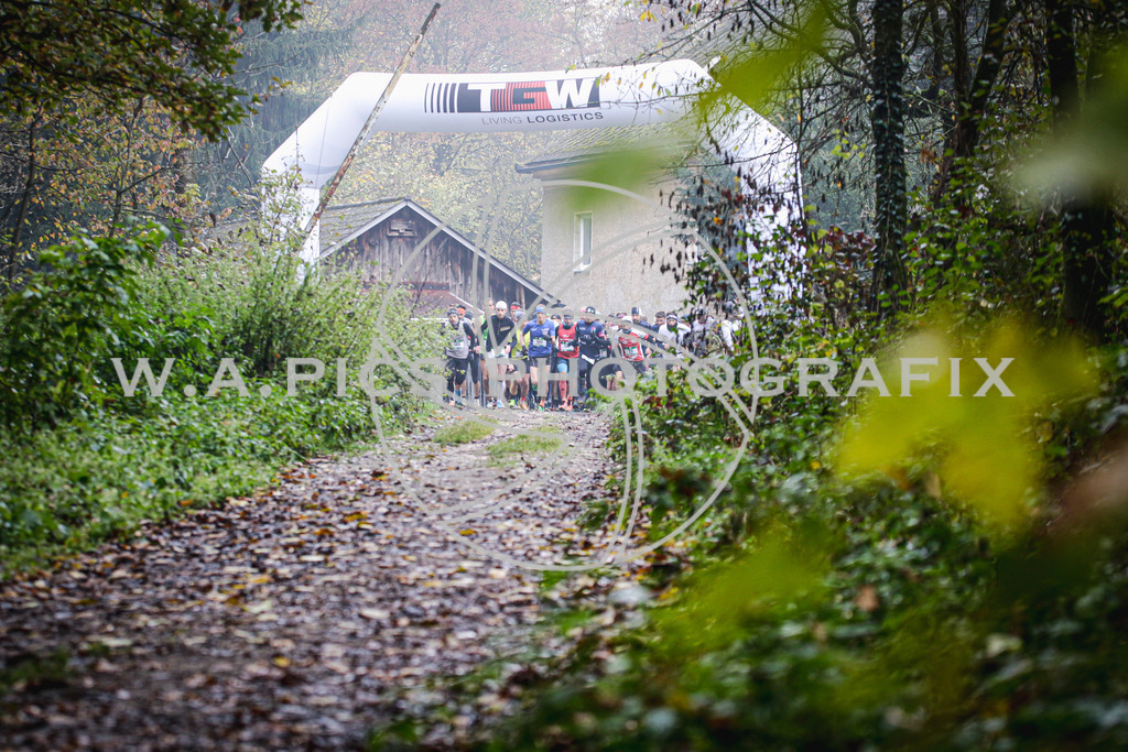 ..... | AUSTRIA, 09.11.24, Leonding,TGW KÜRNBERGTRAILRUN, Image shows: Photo: Wapics / Andreas Willdoner