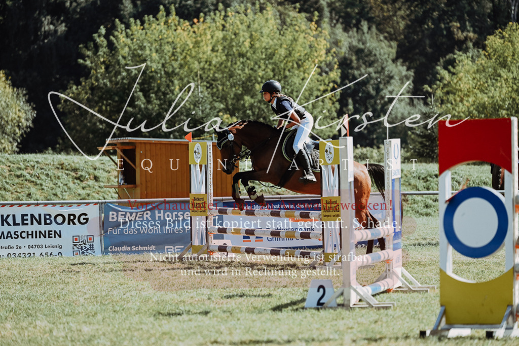 DSC_6734 | Pferde- und Turnierfotografie in Westsachsen. Pferdeportraits, Auftragszeichnungen und intuitive Kunst.