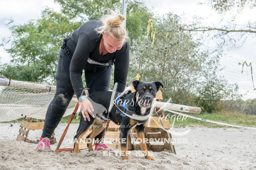 1532_ZZ95575 | kk-dogfotos