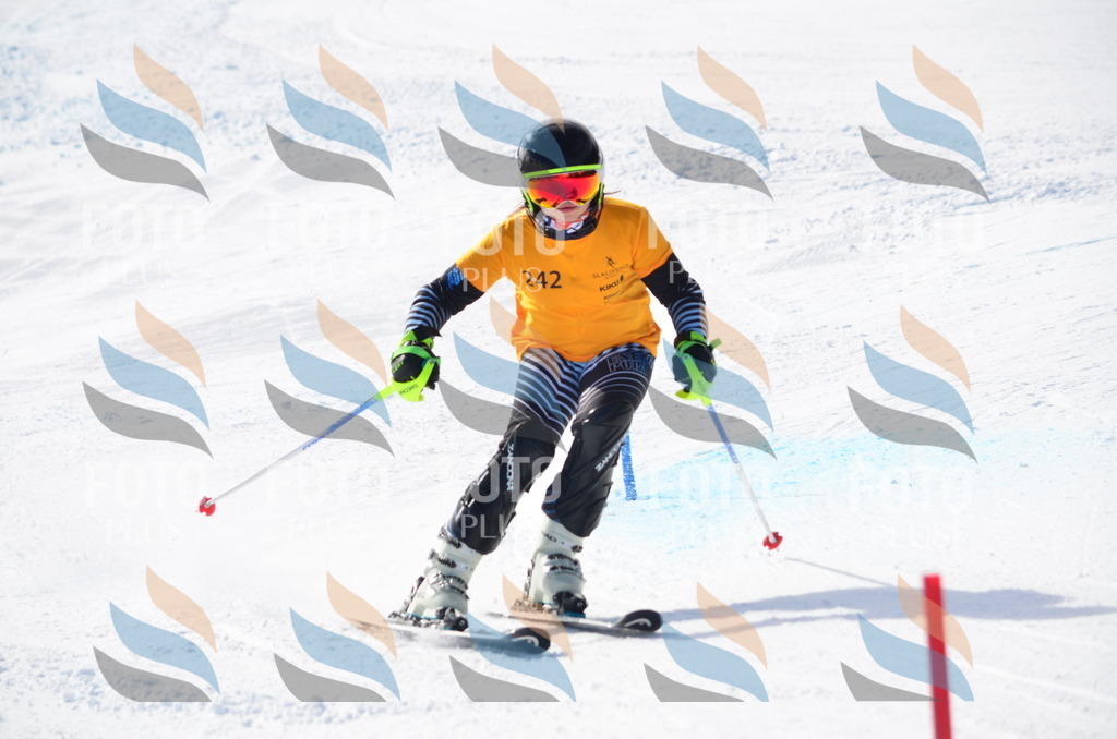 C8397 | holidayphoto