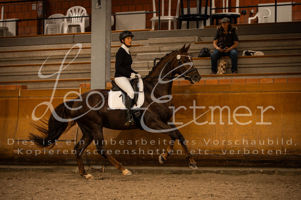 2Reiten00174 | Leoni Ertmer Photography - Realisiert mit Pictrs.com
