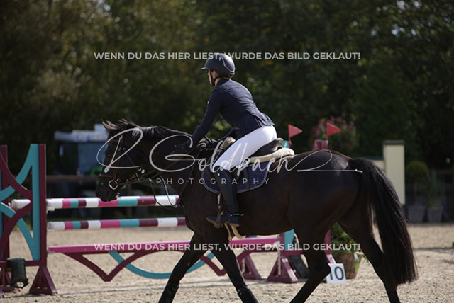 1J2A3503Freya Sophie Langhans_ Comme Toi_ Kn260_ Havekost | Foto- und Videografie für alles rund ums Pferd. Hochwertige Bilder und Videos vom Spring- und Dressurreiten, Voltigieren & mehr. Jetzt aktuelle Veranstaltungen und Preise im Shop ansehen. - Realisiert mit Pictrs.com