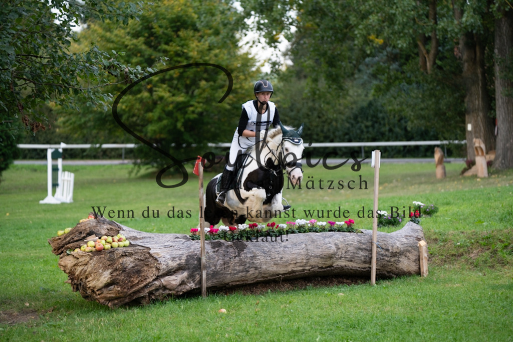 A7V02894 | Turnier/Reitfotograf