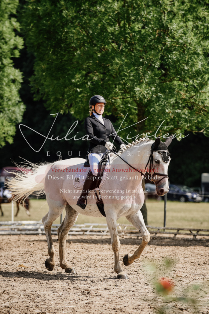 DSC_0369 | Pferde- und Turnierfotografie in Westsachsen. Pferdeportraits, Auftragszeichnungen und intuitive Kunst.