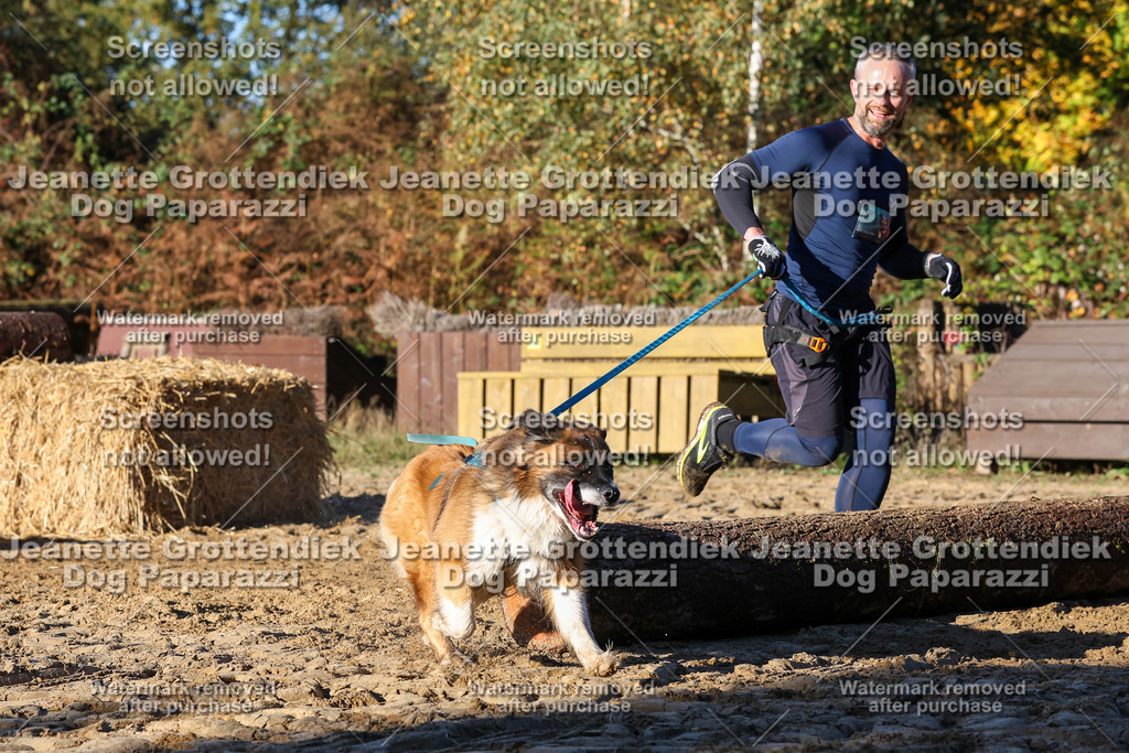 Dog Paparazzi - Strongdog 10-25-1401 | Dog Paparazzi Jeanette Grottendiek Fotografie & Videografie - Realisiert mit Pictrs.com