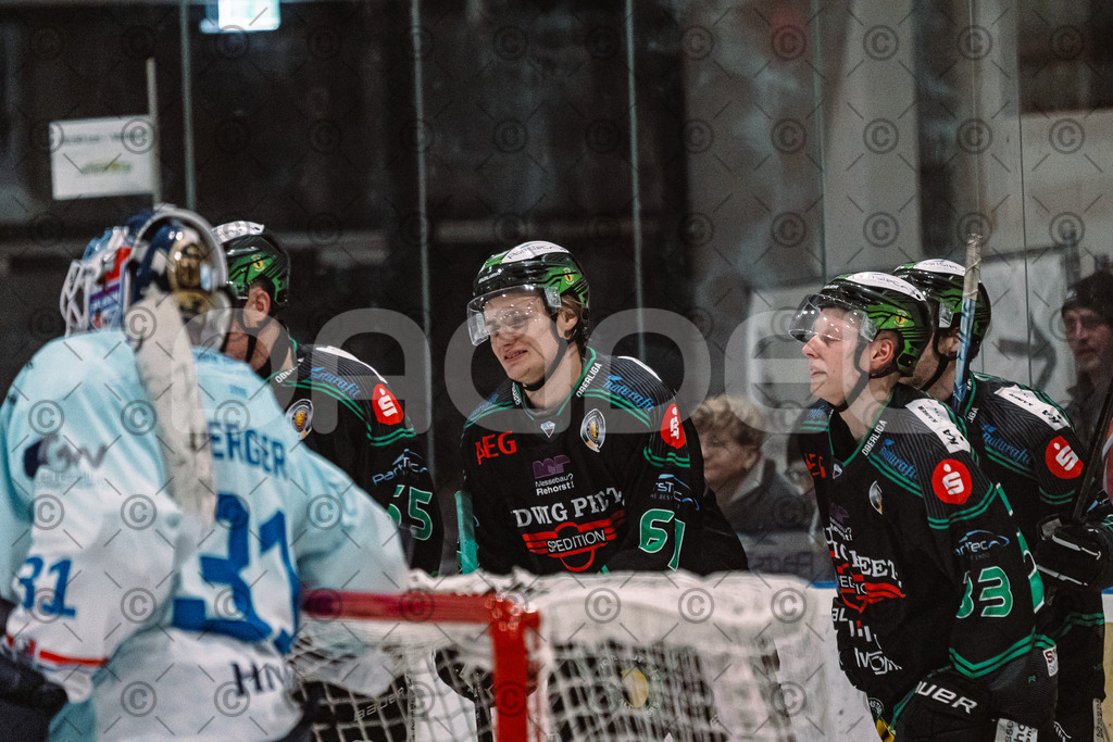 Alligators_vs_Heilbronn_08_02_2026-35 | Höchstadt Alligators Fotogalerie: Eishockey-Action aus Franken. Professionelle Spielfotos, Portraits & Stadionbilder zum Download. Jetzt entdecken! - Realisiert mit Pictrs.com
