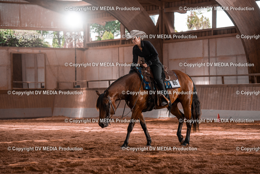 NE100402 | dv-media-shop - Realisiert mit Pictrs.com