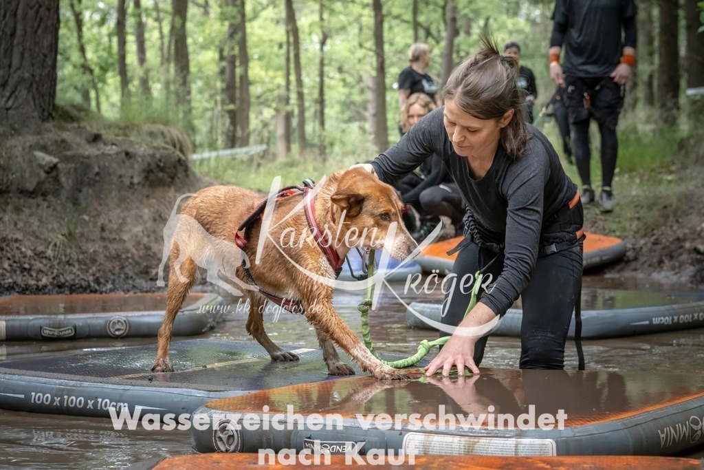 1221_ZZ98646T | kk-dogfotos