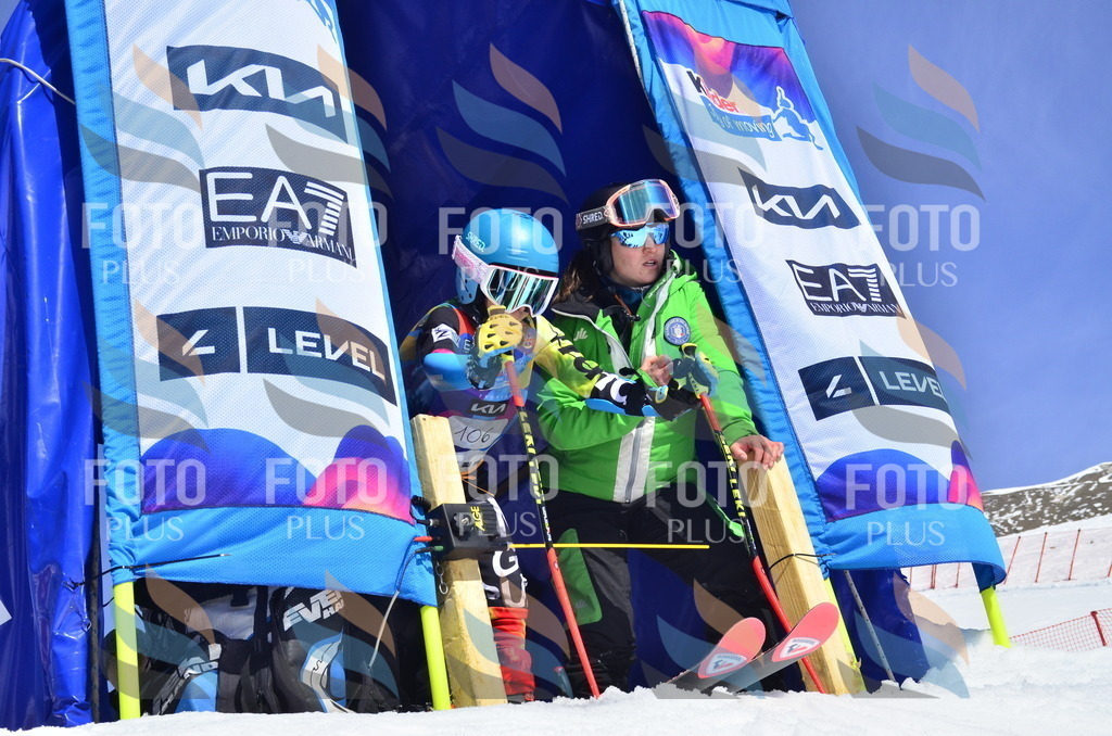 _ELE0600 | holidayphoto