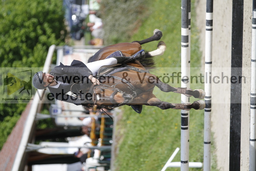 _MG_8751 | equestrian-live-com