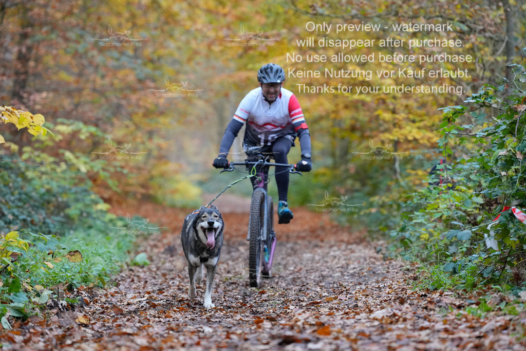 Scooter_So-35 | stephaniefillaphotographie - Realisiert mit Pictrs.com