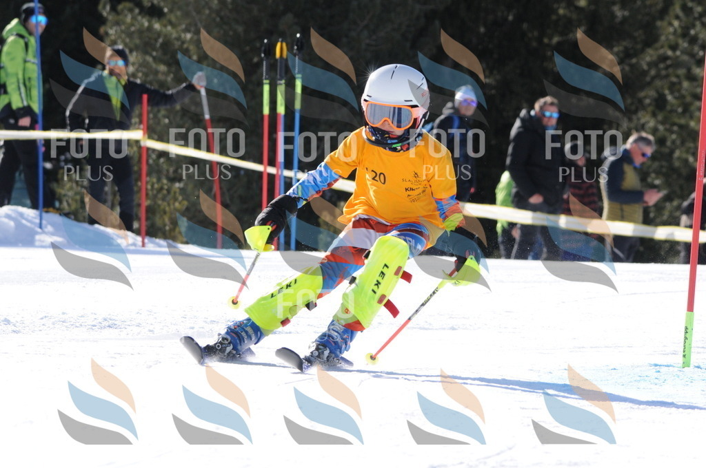 C7161 | holidayphoto