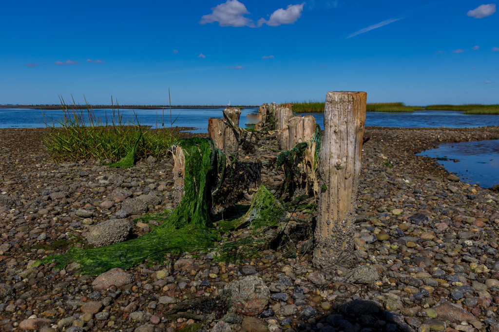 IMGP0437 | Nordseeinsel Mandö - Realisiert mit Pictrs.com