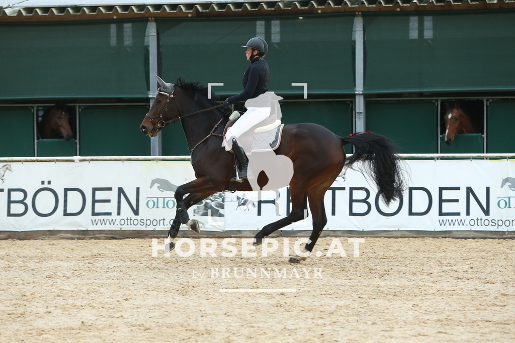 DL2Q5105 | Willkommen bei Brunnmayr - Design & Fotografie – Ihrem Spezialisten für Reitturniere und Pferdeveranstaltungen in Oberösterreich, Salzburg und Bayern! Seit über 17 Jahren sind wir leidenschaftlich dabei.