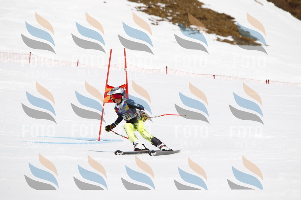 _U3G4920 | holidayphoto