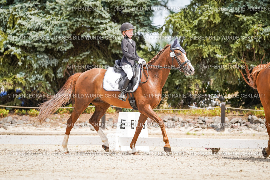 DSC03355 | Pferdegrafie