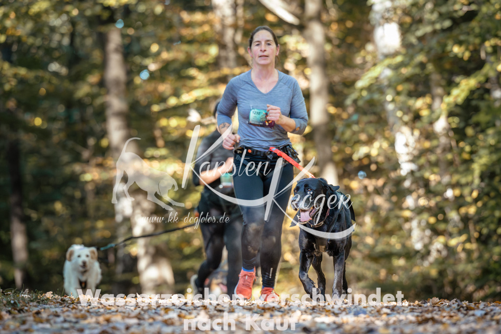 1134_ZZ92721 | kk-dogfotos