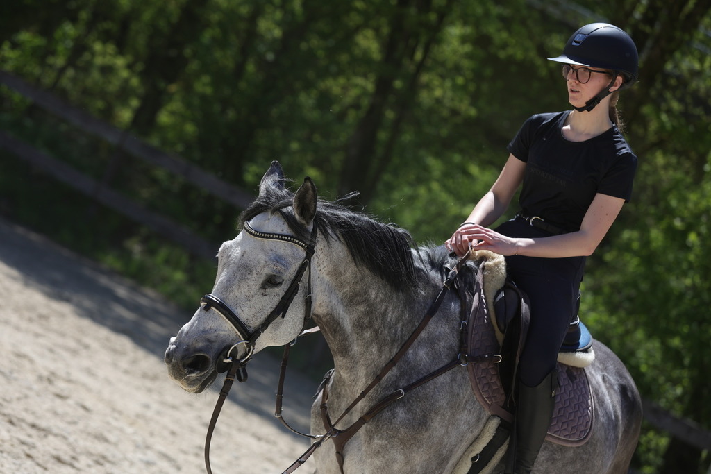 0P6A8841 | Willkommen bei Brunnmayr - Design & Fotografie – Ihrem Spezialisten für Reitturniere und Pferdeveranstaltungen in Oberösterreich, Salzburg und Bayern! Seit über 17 Jahren sind wir leidenschaftlich dabei.