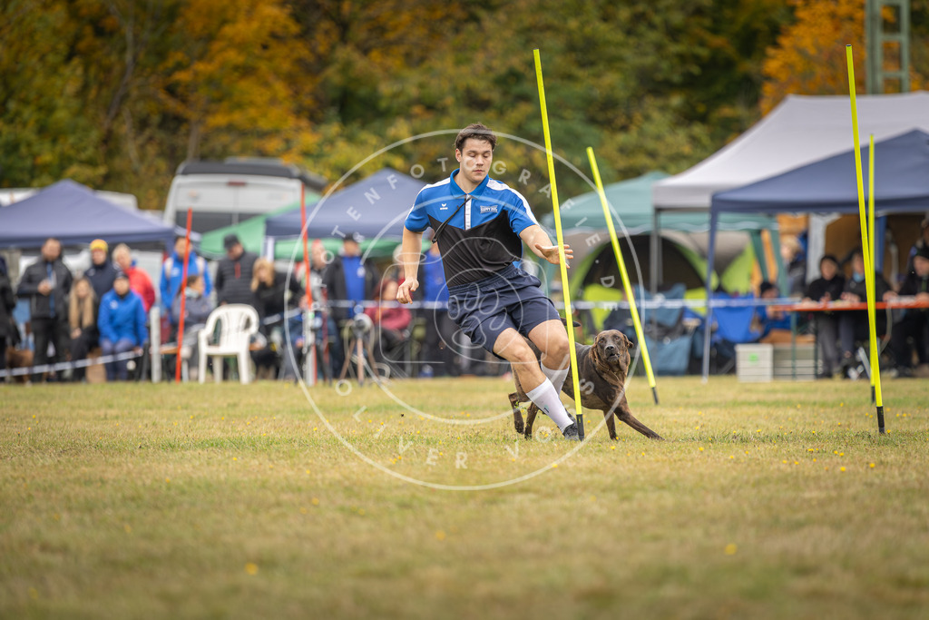 Pfotenfotografie_DV3A5593 | Hundefotografie, Tierfotograf, Pfotenfotografie, Fotoshooting Hund, Hunde Portrait, Hundesport, Hundeportraits, Heideshooting, Hunde, Sportfotograf, Hundefotograf, Turnierhundsport, THS,  - Realisiert mit Pictrs.com