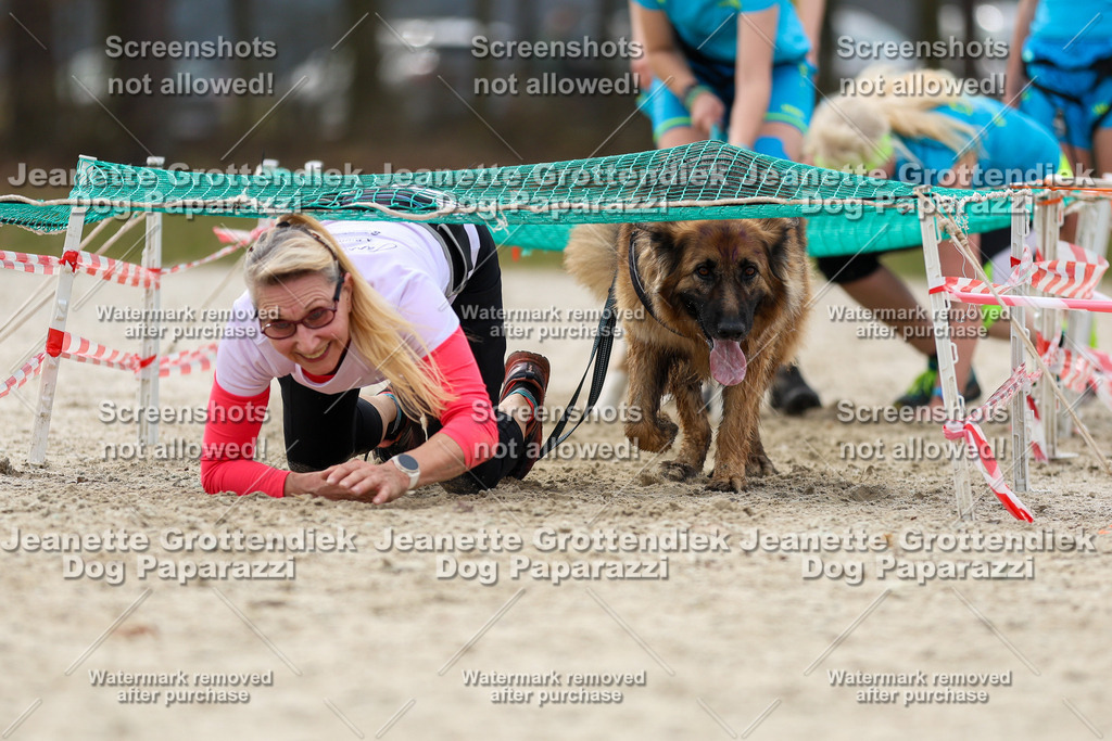 Dog Paparazzi - Strongdog North Mrz26-5701 | Dog Paparazzi Jeanette Grottendiek Fotografie & Videografie - Realisiert mit Pictrs.com