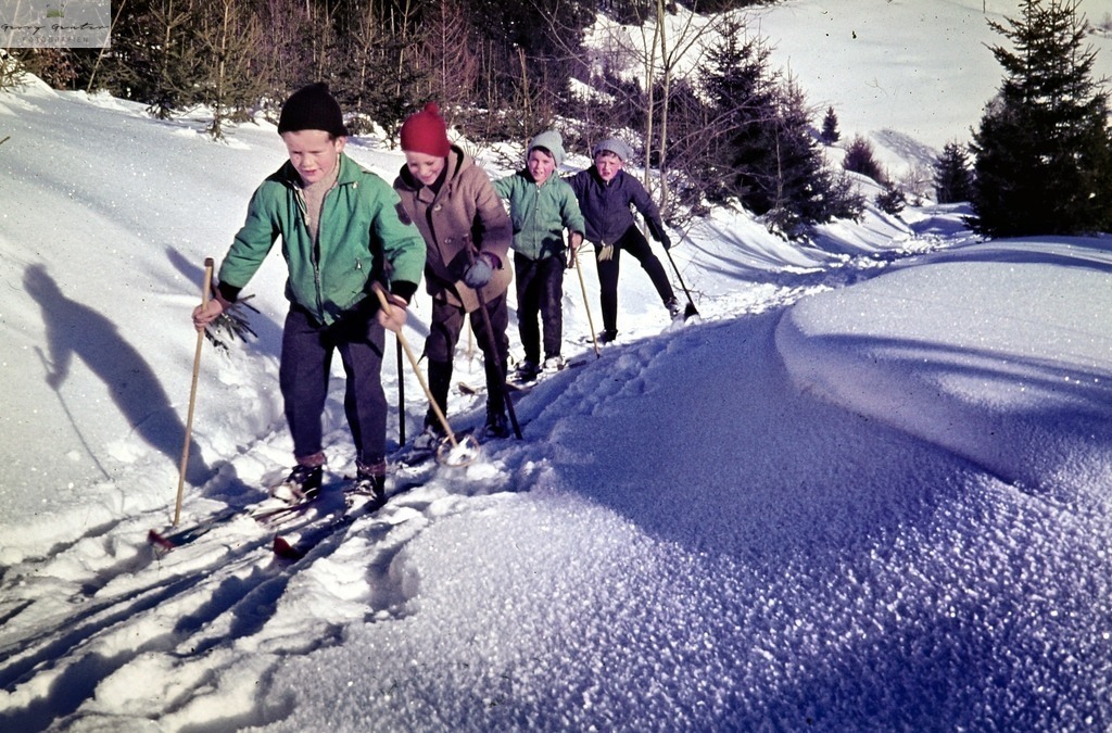 Winterschule 8 | Fotoblog Schwarzwald, Foto Blog Wiesental, Pfaffenberg, Winterzauber, Zeller Bergland, Zell im Wiesental, Fotoblog Wiesental, Landschaftsfotos, Bilder Wiesental, Natur, Naturbilder, Fastnacht, Zeller Fastnacht, Zeller Fasnacht, Zeller Bergland, Belchen, - Realisiert mit Pictrs.com
