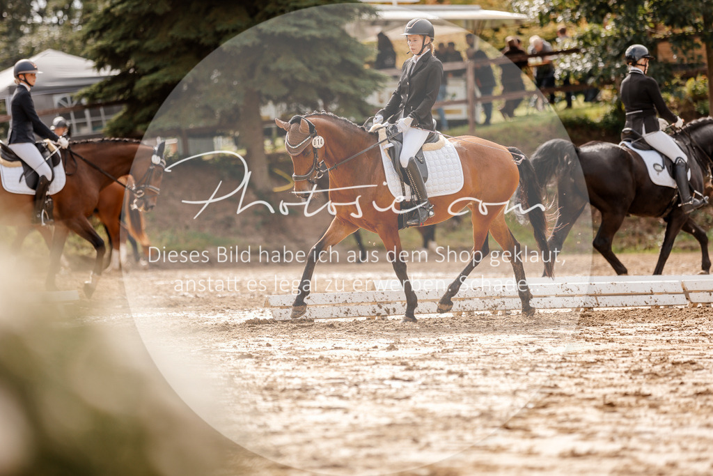 3I6A7069 | Stimmungsvolle Portraits und Reitsportfotografie im Ruhrgebiet und im Münsterland.

Pferdefotografie, Hundefotografie, Tierfotografie, Reportagen, Portraits von Tier und Mensch, Turnierfotografie in Bochum, Recklinghausen, Marl, Haltern am See, Dülmen.. - Realisiert mit Pictrs.com