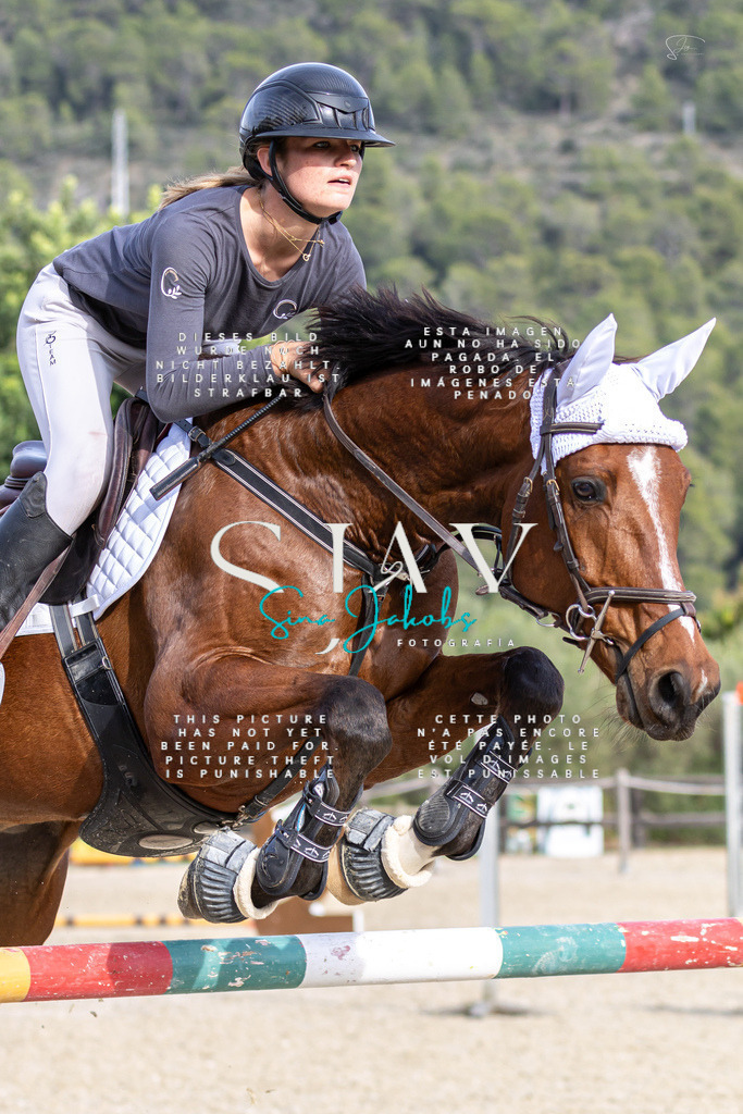 IMG_4207 | s-jay-photography - Realisiert mit Pictrs.com