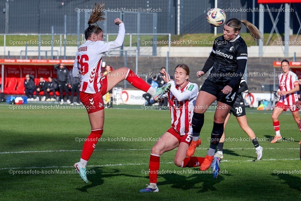 xSSCx24012601010 | 24.01.2026, xsscx, Frauen Fussball, 1. FC Koeln - SC Freiburg, 1. Fussball Bundesliga, 15. Spieltag, Franz-Kremer-Stadion, Saison 2025 2026: Zoe Hasenauer (1. FC Koeln #16) im Zweikampf gegen Ingibjörg Sigurdardottir (SC Freiburg #24) DFB regulations prohibit any use of photographs as image sequences and or quasi-video. Photo: xSandraxScherningxPressefotoKochx