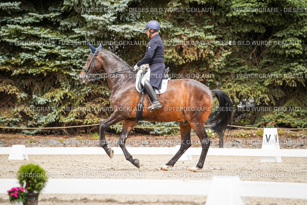 DSC05077 | Pferdegrafie