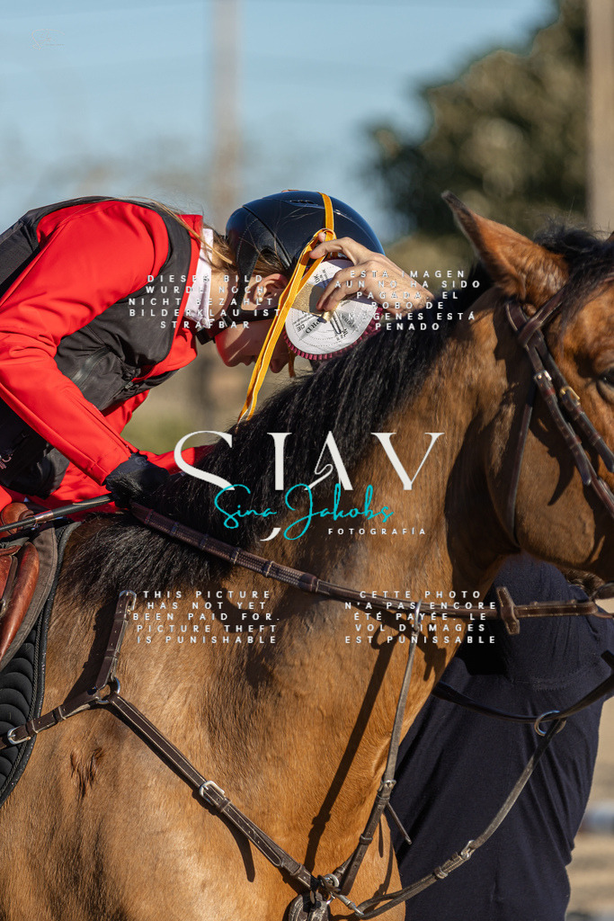 IMG_2308 | s-jay-photography - Realisiert mit Pictrs.com