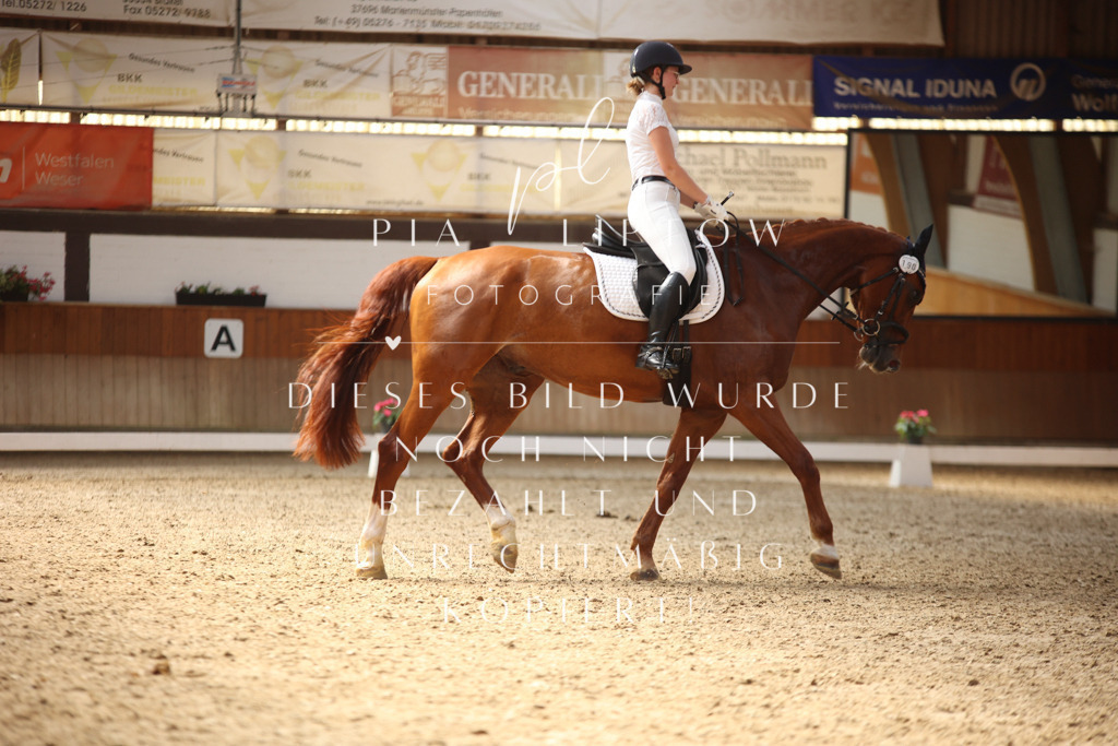 IMGM6838 | pl-fotografie