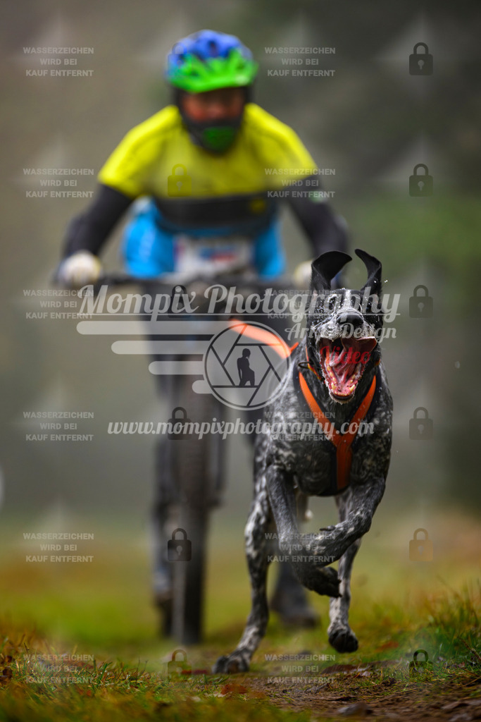 MompixPhotography_Bischwiller2025_Scooter-53 | mompixphotography