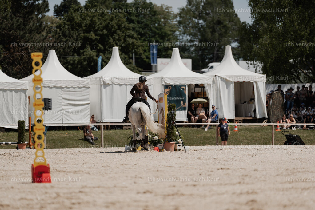 WE_SP_Stoib_318_PI2025_2068 | Pferd International München 2025