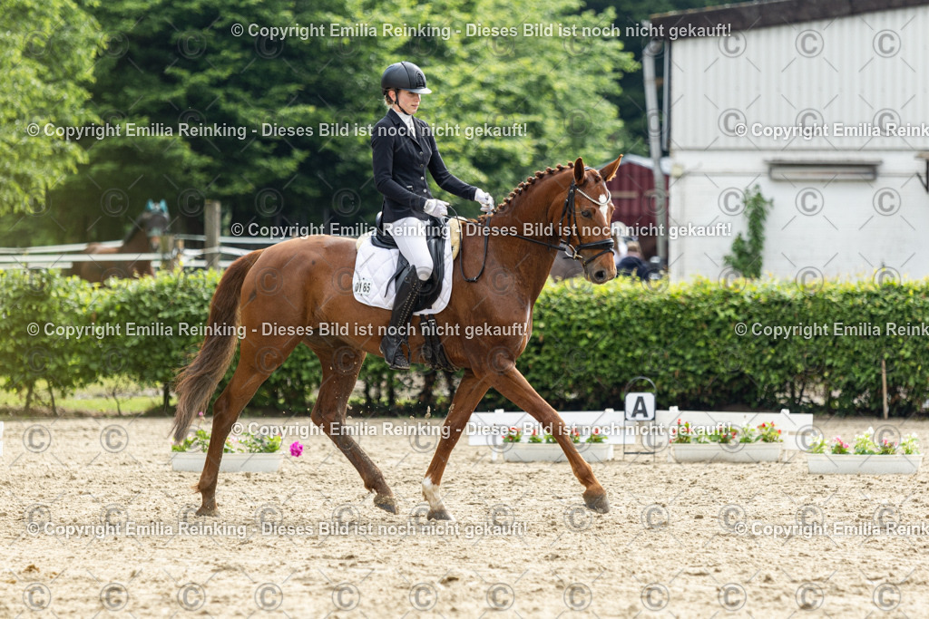 CL5A4539 | Emilia Reinking Fotografie - Realisiert mit Pictrs.com