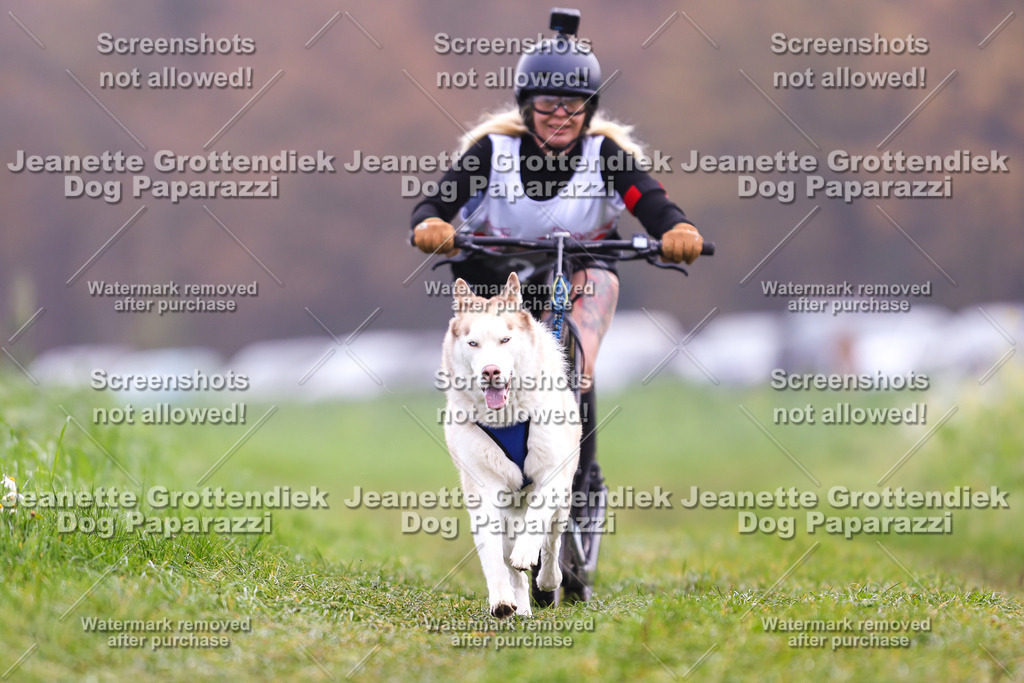 Dog Paparazzi - Visbeck 25 -327 | Dog Paparazzi Jeanette Grottendiek Fotografie & Videografie - Realisiert mit Pictrs.com