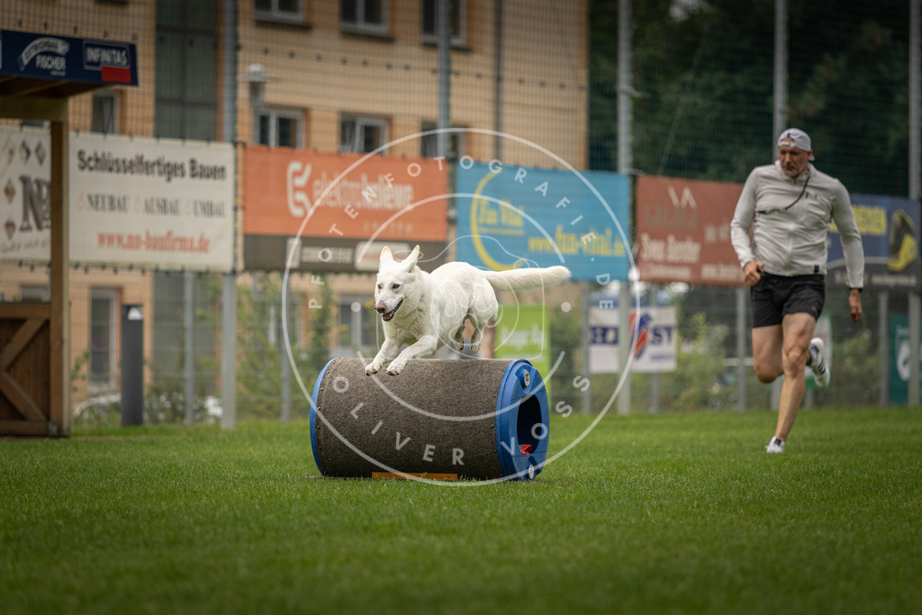 Pfotenfotografie_DV3A8658 | Hundefotografie, Tierfotograf, Pfotenfotografie, Fotoshooting Hund, Hunde Portrait, Hundesport, Hundeportraits, Heideshooting, Hunde, Sportfotograf, Hundefotograf, Turnierhundsport, THS,  - Realisiert mit Pictrs.com