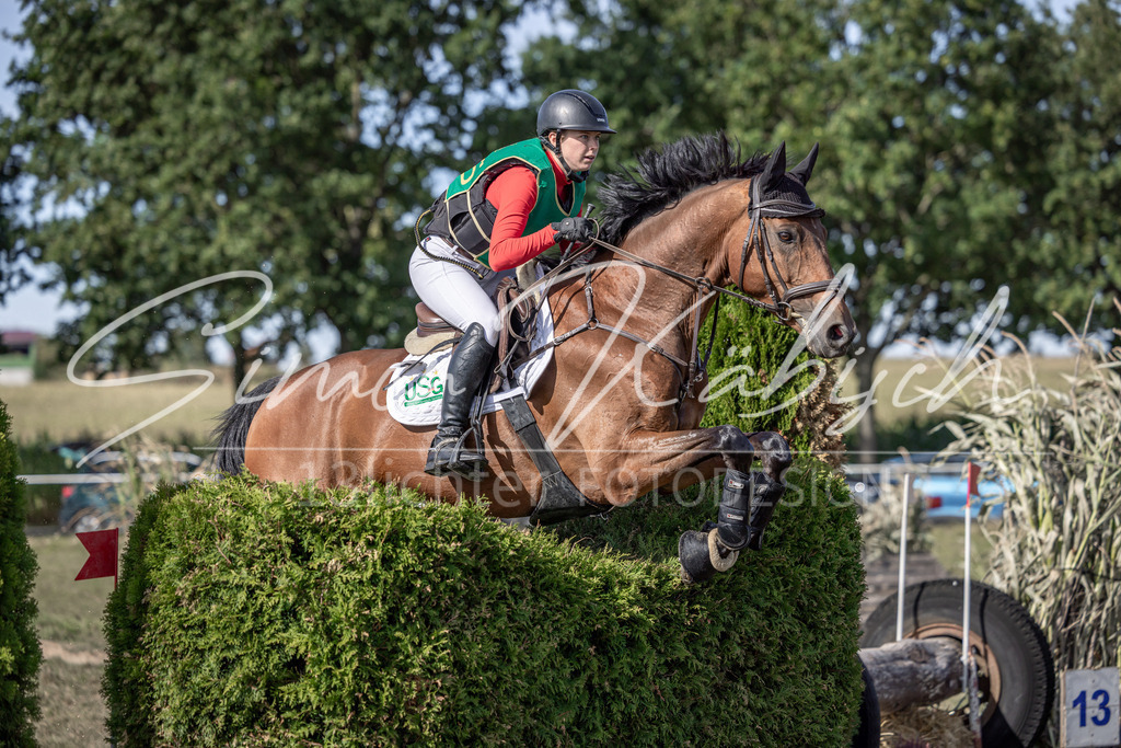 20250907-_3LI2673 | Tierfotografie Pferde, Hunde, Katzen, Haustiere.
Turnierfotografie Reitturniere, Reiten, Springreiten, Dressur in Hanau, dem Main-Kinzig-Kreis und dem Rhein-Main- Gebiet um Frankfurt