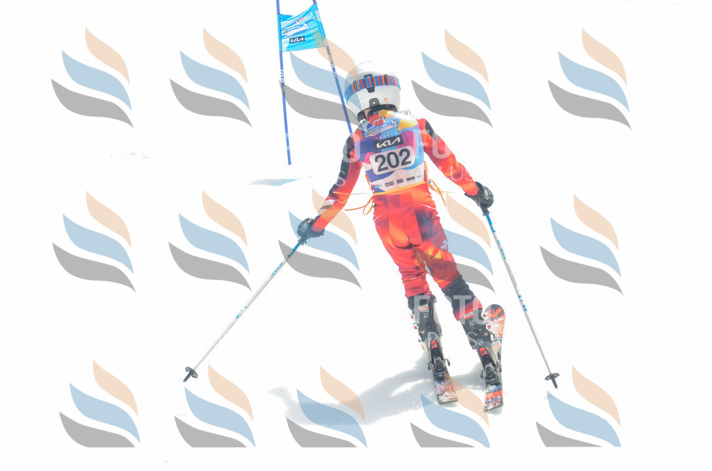 _ELE6934 | holidayphoto