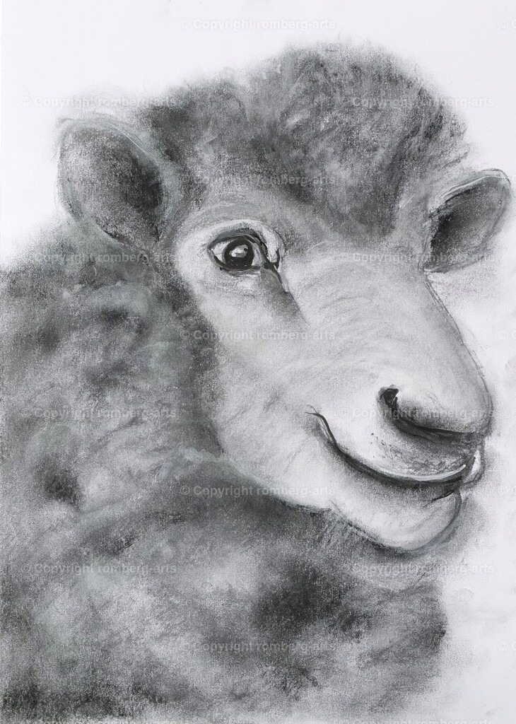 L1020557 | romberg-arts, romberg-arts.de, www.romberg-arts.de, Foto_Online_Shop, Julia Fuhrmann, Köln, Fotos, Fotografie, Fotokunst, Kunstdrucke, Naturfotos, Aktfotos, Nacktfotos, schwarz_weiß_Fotos, Blumenfotos, Blumen, Tiere, Beton, Korrosion, Lächeln, Drucke