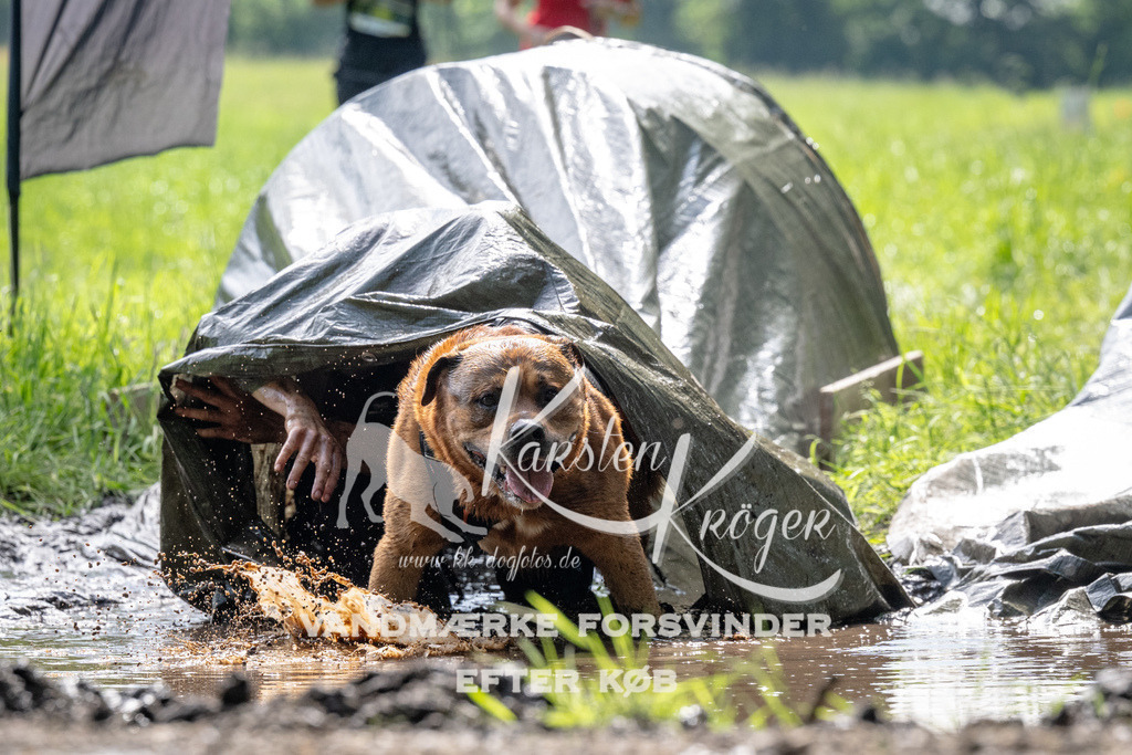 0913_ZZ90333 | kk-dogfotos