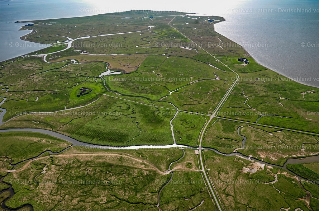 3091083 | Nordmarsch-Langeness, Nationalpark Schleswig-Holsteinisches Wattenmeer